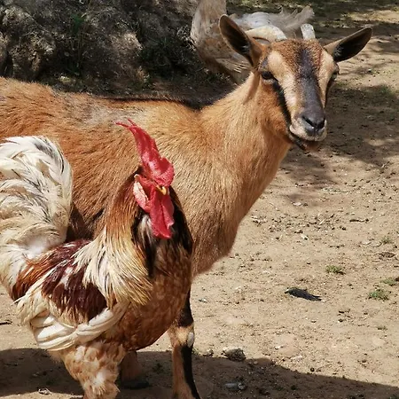 农家乐 Azienda Agrituristica Baglio Carta *