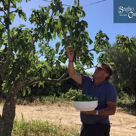 Azienda Agrituristica Baglio Carta 农家乐