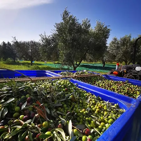 Azienda Agrituristica Baglio Carta Farm stay