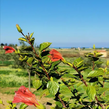 Farm stay Azienda Agrituristica Baglio Carta *