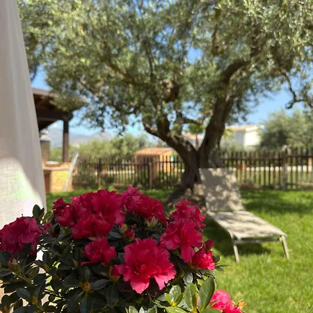 Farm stay Azienda Agrituristica Baglio Carta Balestrate